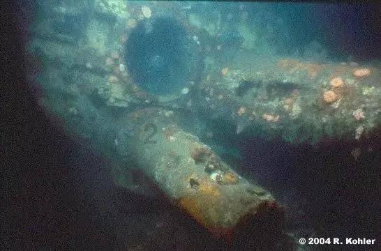 燃烧吧大脑免广告最新版