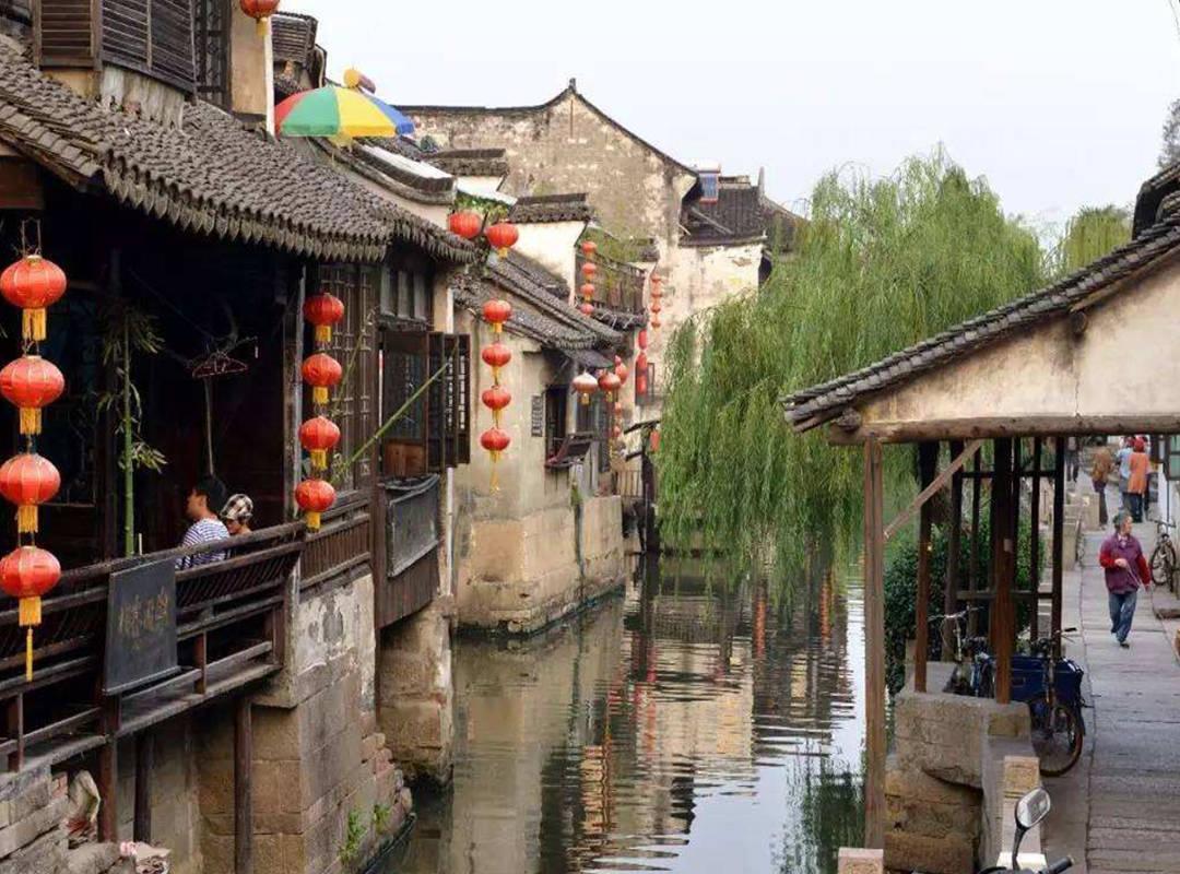 细胞分裂4